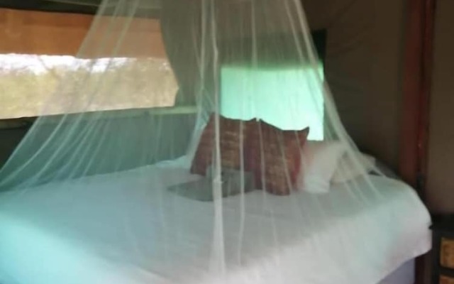 Buffalo Tented Lodge