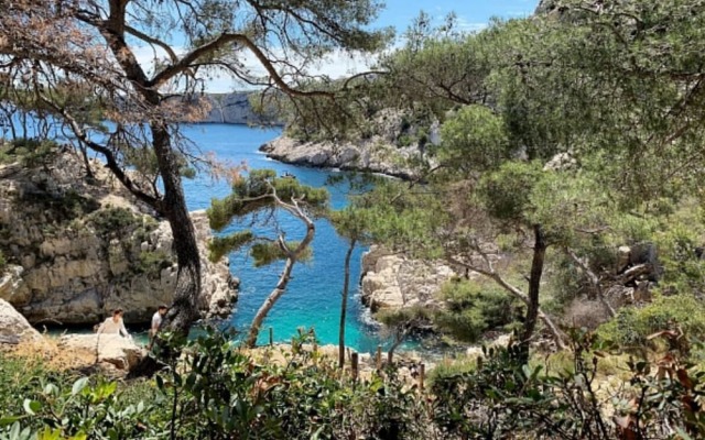 La Tanière de l'Ours Blanc Aubagne-Cassis-Aix en Provence