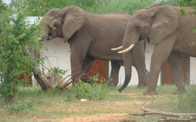 Muweti Bush Lodge