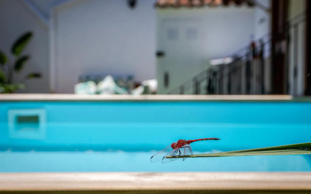 Casona Gildana: Historia, Patrimonio/E-working