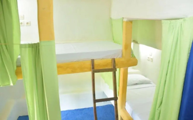 The Rabbit Tree - Hostel