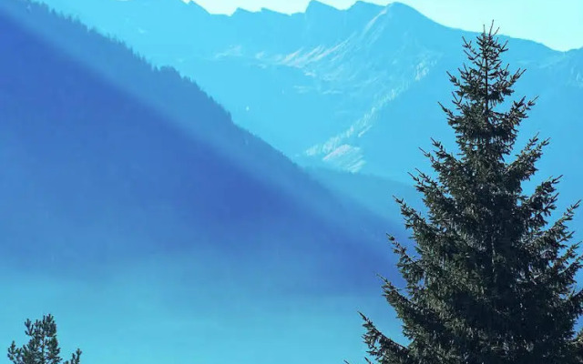 Appartements Alpenrose