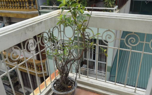 Hanoi Massive Hostel