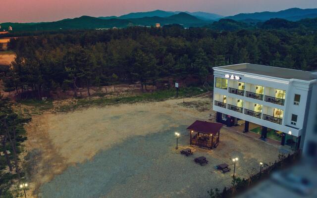 ashoka pension