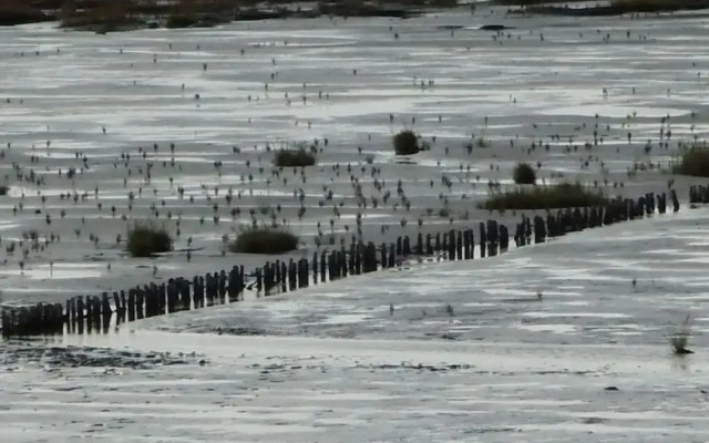 Sky Blue Comfortable Holiday Residence