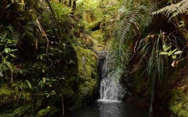 Pupu Rangi Nature Sanctuary