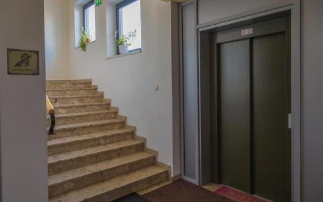 Alm Appartements ZellamSee