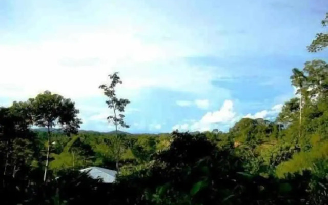 Huella Verde Rainforest Lodge