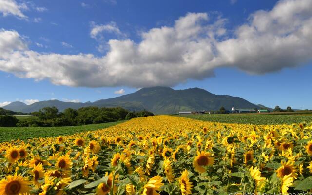 Kasara Niseko Village Townhouse