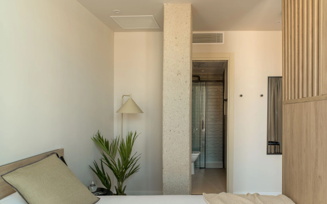 Libere Pamplona Universidad