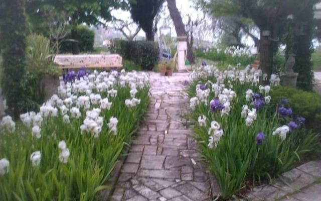 Bed & Breakfast Giardino Agritourist