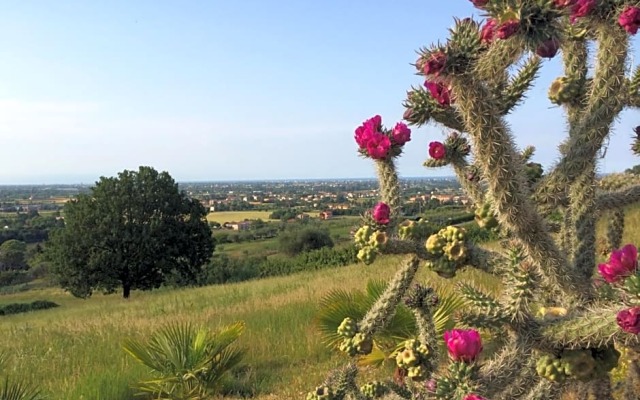 La villa dell'Artista