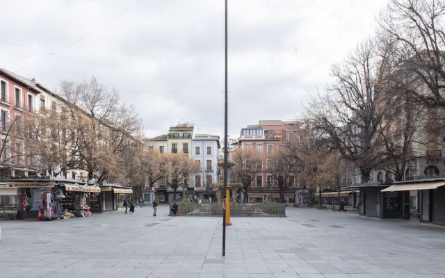 Apartamentos Suites San Jerónimo 17