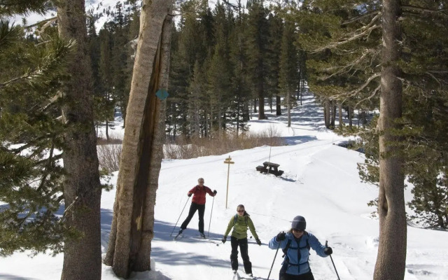 Tamarack Lodge and Resort