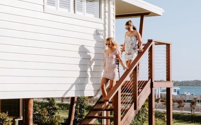 Salt at South West Rocks