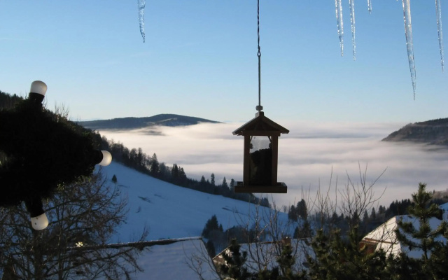 Schöne Aussicht