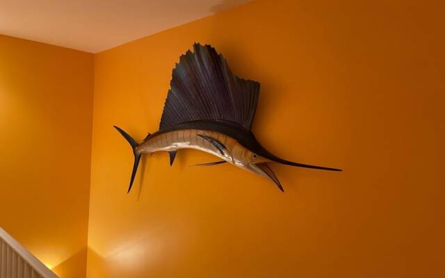 Coral Garden by Avantstay Great Location w/ Balcony & Shared Pool