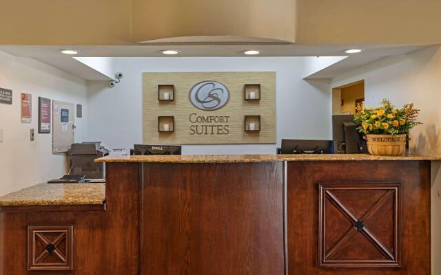 Comfort Suites North Dallas