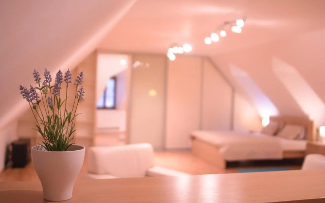 Old Town Apartment