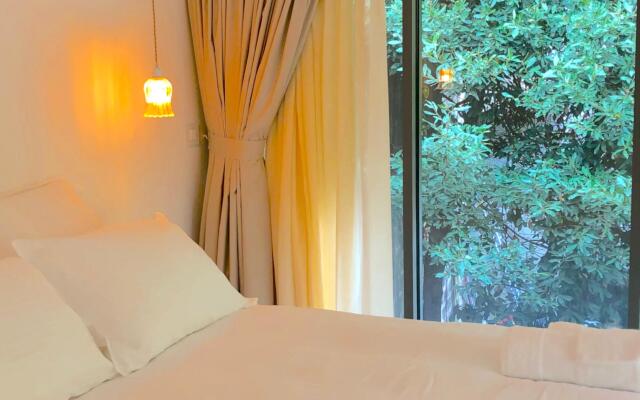 Les Nuits Pétillantes