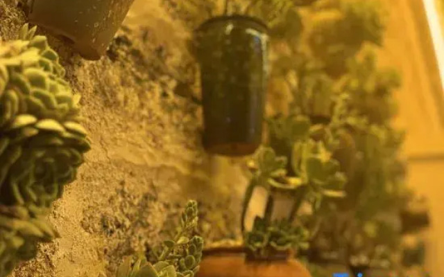 Weizhou Island Township Accommodation