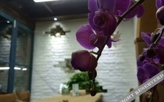杭州芝宅园民宿