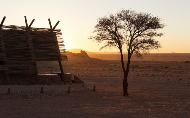 Desert Quiver Camp