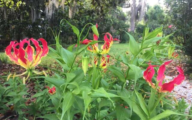 Open Gates Bed & Breakfast