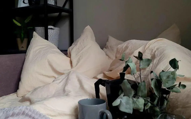 Апартаменты на Курской