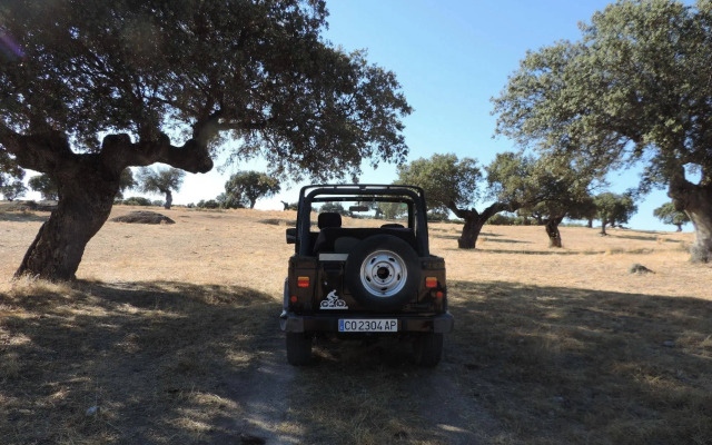 Apartamentos Barbancho