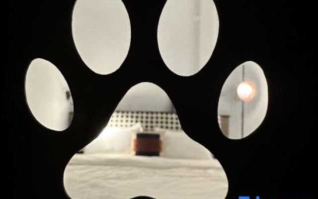Paw-some Hostel