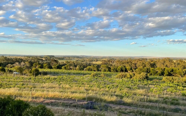 Kesehills Wines Villa