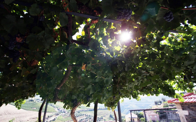 Quinta da Pitarrela