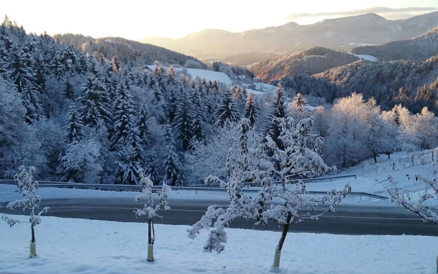 Apartment Jorsi With Mountain View