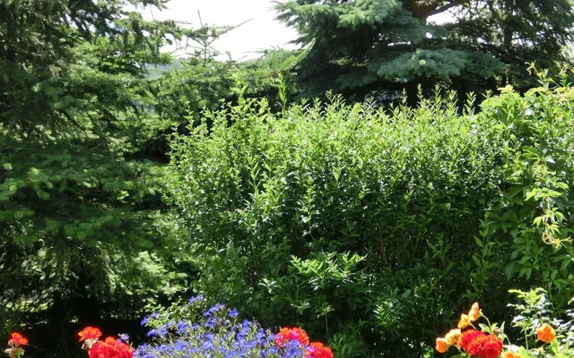 Holiday Home in Cattenstedt Harz With Garden