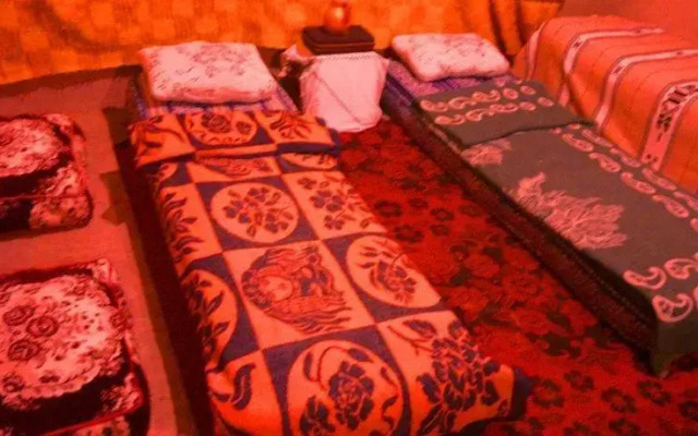 Bivouac Camel Trekking Tours