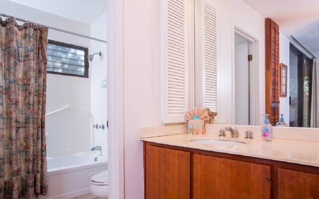 Wailea Ekahi 46A - One Bedroom Condo