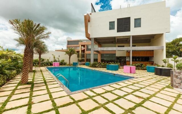 Mastiff Select Bidar