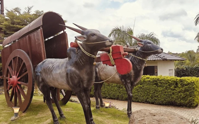 Vintage Trails By Ilara