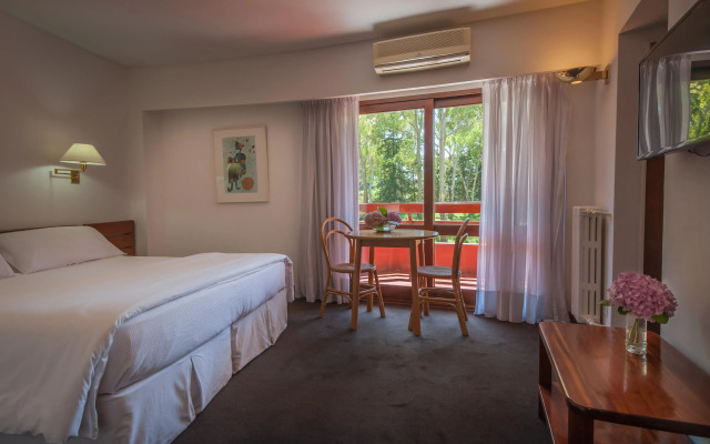 Hotel Del Bosque