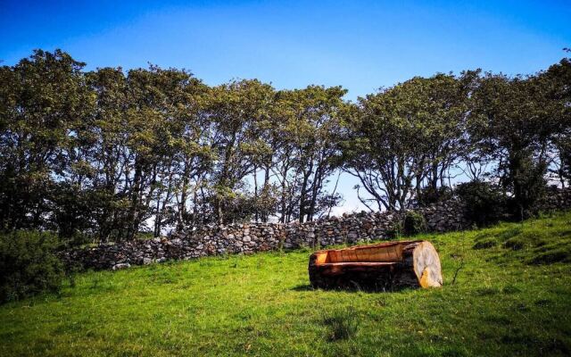 The Beautiful Lazy Llama Shepherd Hut Farm Stay