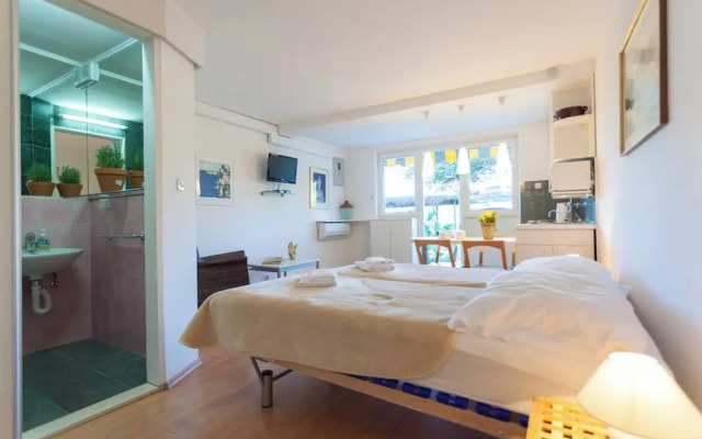 Hedera Estate, Hedera Studio 6