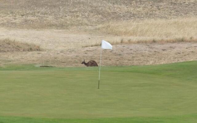 Front 9 then Dine - 3/61 St Andrews Boulevard