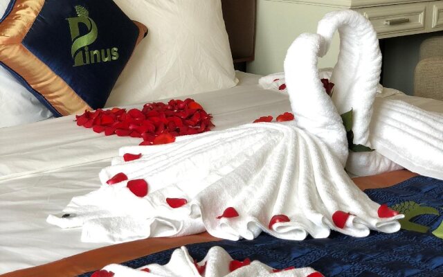 Pinus Hotel