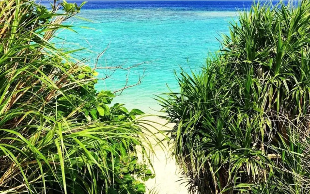 Yamagata Ryukyu Hatago Onnason