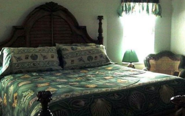 Tropical Paradise Bed & Breakfast