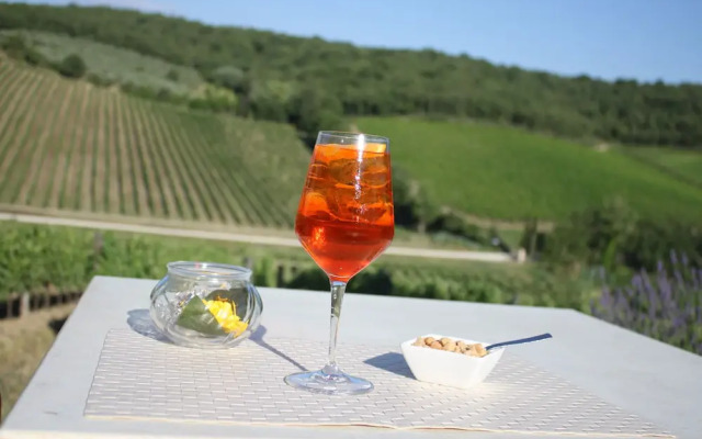 Hotel Le Vigne