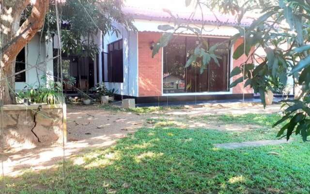 Mango Tree House