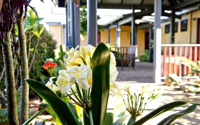 Vintages Accommodation