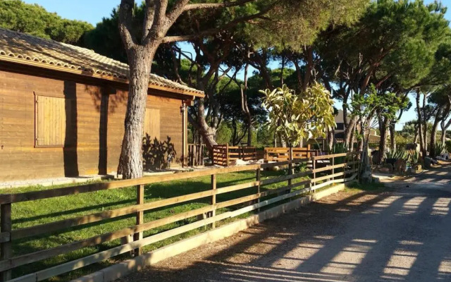 Quinta Vita- Vila Laranja